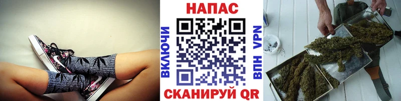 купить закладку  Новочебоксарск  Канабис семена 